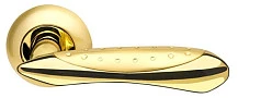 Armadillo Corvus LD35-1SG/GP-4