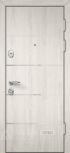 Подъездная дверь с ригельной системой защиты №48 внешняя - фото